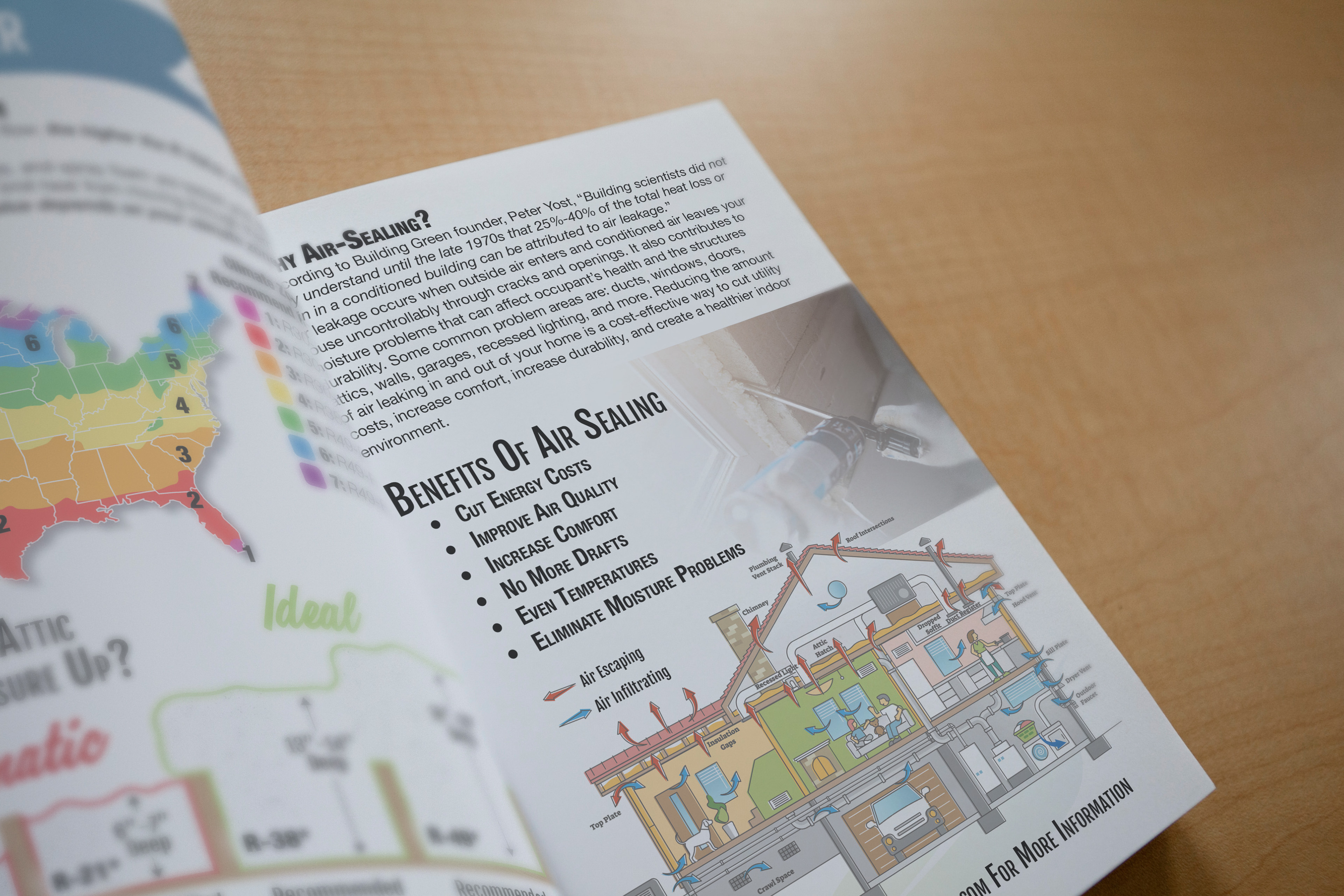 Koala brochure foldout